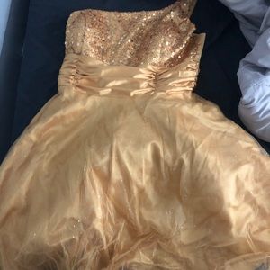 Gold dress worn for one night